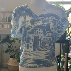 Sioni Blue and White Scenic V-Neck Knit Top NWT